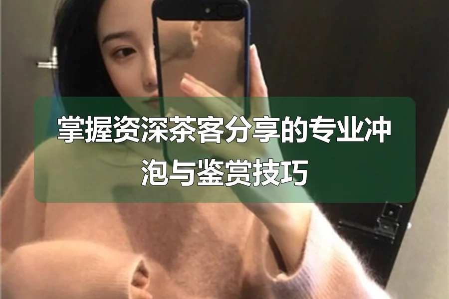 掌握资深茶客分享的专业冲泡与鉴赏技巧