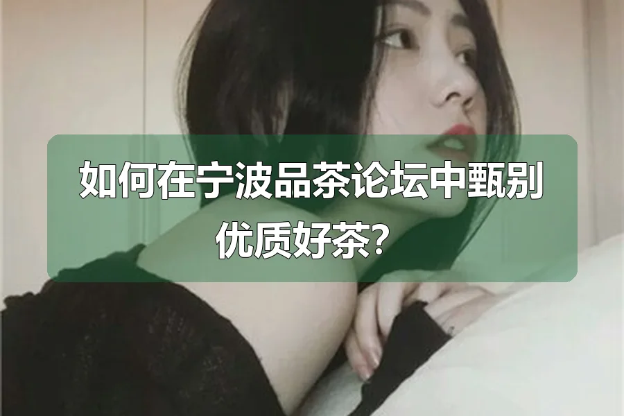 如何在宁波品茶论坛中甄别优质好茶？